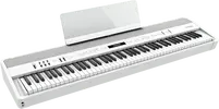 FP-30